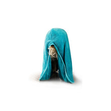 Load image into Gallery viewer, Show Tech+ Dry Dude Turquoise Bathrobe