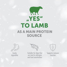 Load image into Gallery viewer, SUPERIOR CARE WHITE DOGS ADULT MOBILITY &amp; JOINT HEALTH SUPPLEMENTAL SNACKS GRAIN FREE Með lambi 150gr