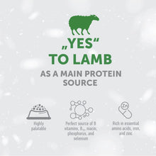Load image into Gallery viewer, SUPERIOR CARE WHITE DOGS ADULT MOBILITY &amp; JOINT HEALTH SUPPLEMENTAL SNACKS GRAIN FREE Með lambi 150gr