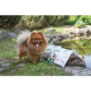 NATURE’S PROTECTION SUPERIOR CARE RABBIT HEART BITES TREATS FOR ADULT DOGS WITH SENSITIVE DIGESTION