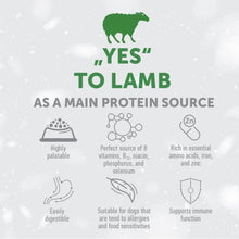 Load image into Gallery viewer, SUPERIOR CARE RED COAT ADULT GRAIN FREE. Lamb fyrir litla hunda