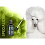 Show Tech+ Sticky Ticky 50 ml