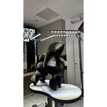 Load image into Gallery viewer, Groom-X Light Bar for Groom-X Control Post