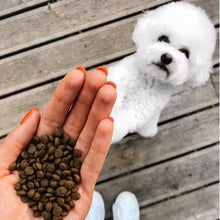 Load image into Gallery viewer, SUPERIOR CARE WHITE DOGS ADULT GRAIN FREE með lax fyrir litla hunda 1-10KG