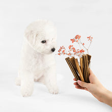 Load image into Gallery viewer, NP SP WHITE DOGS JUNIOR BRAIN DEVELOPMNT SUPPLEMENTAL SNACKS GRAIN FREE Með lax 110gr